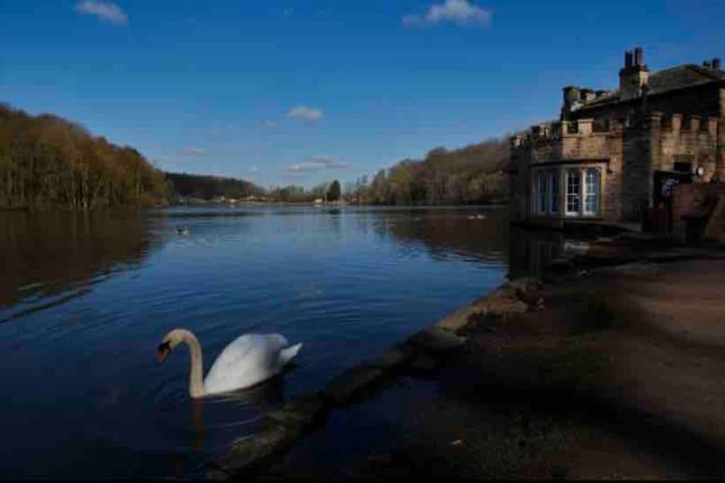 Millstone Cottage Newmillerdam Hill Top Kültér fotó